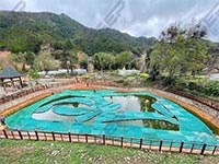 水生植物浮床对园林造景有哪些作用