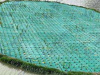 复合纤维浮动湿地